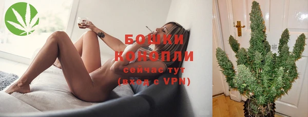spice Арсеньев