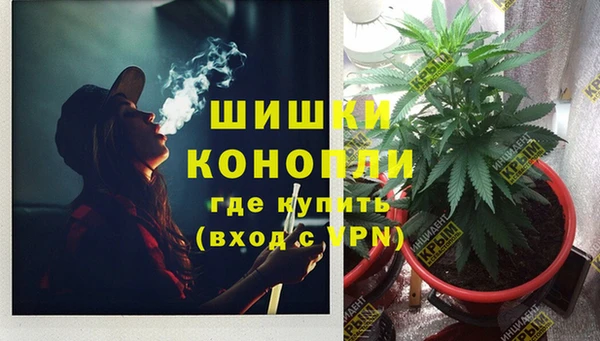 spice Арсеньев