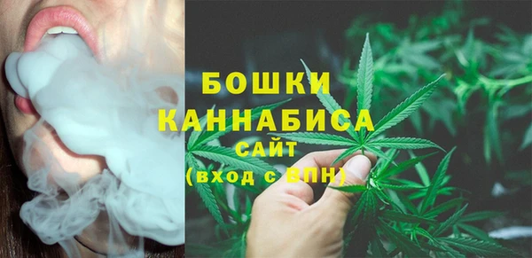 spice Арсеньев