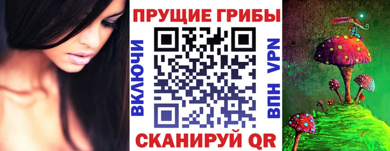 магазин продажи   Чернушка  кракен   Псилоцибиновые грибы MAGIC MUSHROOMS 