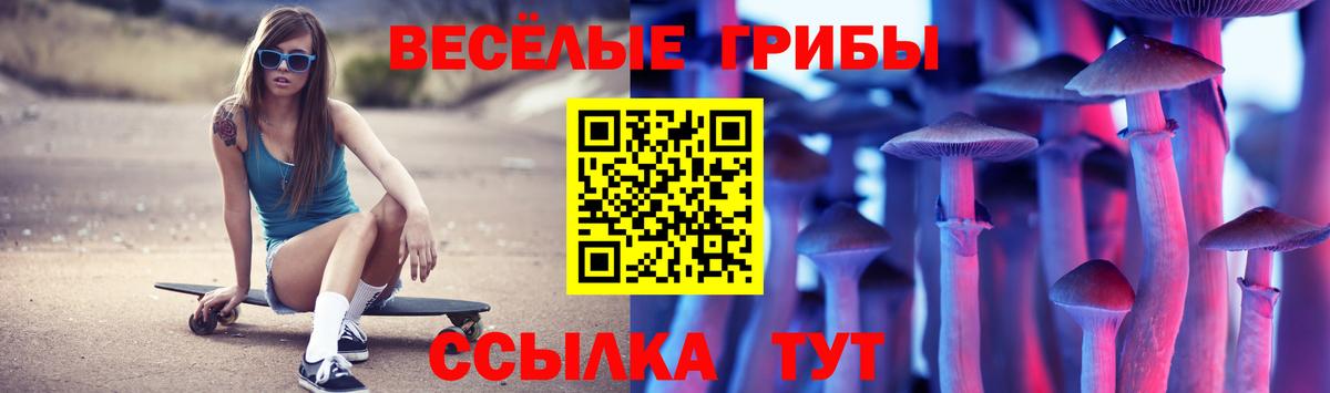 Чернушка  цены наркотик  Вход с VPN  Псилоцибиновые грибы Magic Shrooms  Псилоцибиновые грибы мицелий 